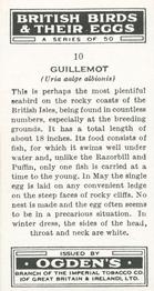 1939 Ogden's British Birds and Their Eggs #10 Guillemot Back