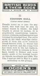 1939 Ogden's British Birds and Their Eggs #11 Common Gull Back