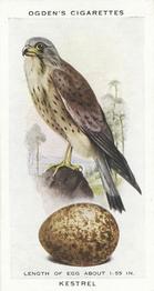1939 Ogden's British Birds and Their Eggs #15 Kestrel Front