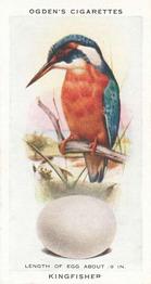 1939 Ogden's British Birds and Their Eggs #16 Kingfisher Front
