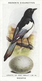 1939 Ogden's British Birds and Their Eggs #20 Magpie Front