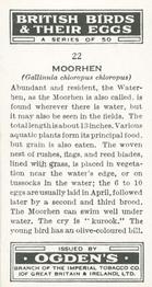 1939 Ogden's British Birds and Their Eggs #22 Moorhen Back