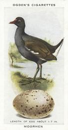 1939 Ogden's British Birds and Their Eggs #22 Moorhen Front