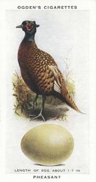 1939 Ogden's British Birds and Their Eggs #27 Pheasant Front