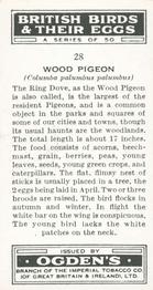 1939 Ogden's British Birds and Their Eggs #28 Wood Pigeon Back