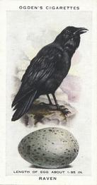 1939 Ogden's British Birds and Their Eggs #31 Raven Front