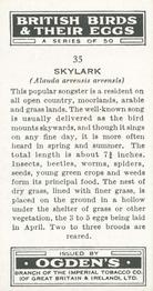 1939 Ogden's British Birds and Their Eggs #35 Skylark Back