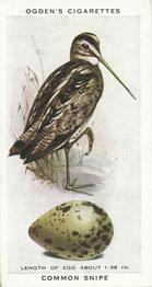 1939 Ogden's British Birds and Their Eggs #36 Common Snipe Front