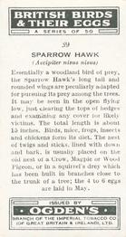1939 Ogden's British Birds and Their Eggs #39 Sparrow Hawk Back