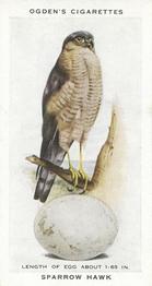 1939 Ogden's British Birds and Their Eggs #39 Sparrow Hawk Front