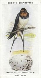 1939 Ogden's British Birds and Their Eggs #41 Swallow Front