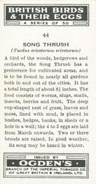 1939 Ogden's British Birds and Their Eggs #44 Song Thrush Back
