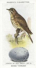 1939 Ogden's British Birds and Their Eggs #44 Song Thrush Front