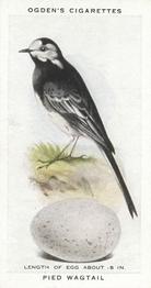 1939 Ogden's British Birds and Their Eggs #47 Pied Wagtail Front