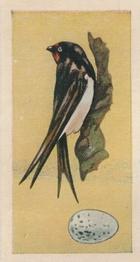 1958 Swettenhams Tea Birds and Their Eggs #20 Swallow Front