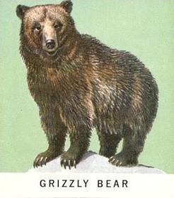 1960 Golden Press Animals #34 Grizzly Bear Front