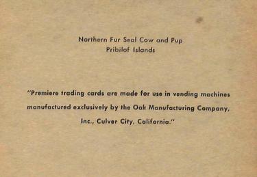 1960 Premiere/Oak Animals (R724-6) #NNO Northern Fur Seal Cow Back
