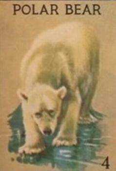 1935 Schranz & Bieber Animals (R15-2 Numbered) #4 Polar Bear Front