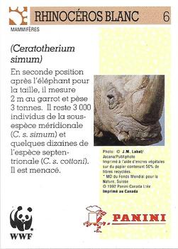 1992 Panini Wildlife in Danger French (Animaux à Sauver) #6 Rhinocéros blanc Back