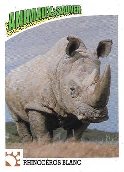 1992 Panini Wildlife in Danger French (Animaux à Sauver) #6 Rhinocéros blanc Front