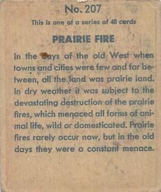 1933 Anonymous Western (R128-2) #207 Prairie Fire Back
