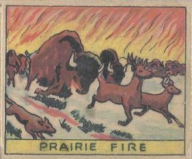1933 Anonymous Western (R128-2) #207 Prairie Fire Front
