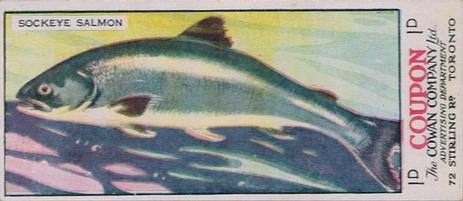1920 Cowan's Canadian Fish (V10) #1D Sockeye Salmon Front