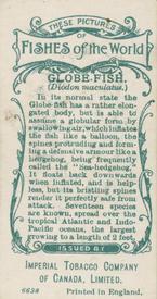1924 Imperial Tobacco Co of Canada (ITC) Fishes of the World (C12) #NNO Globe-fish Back