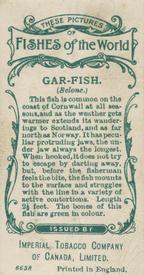 1924 Imperial Tobacco Co of Canada (ITC) Fishes of the World (C12) #NNO Gar-fish Back