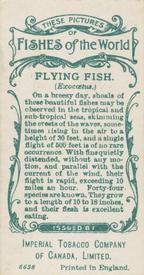 1924 Imperial Tobacco Co of Canada (ITC) Fishes of the World (C12) #NNO Flying-fish Back