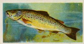 1924 Imperial Tobacco Co. of Canada (ITC) Fishes of the World (C12) #NNO Trout Front