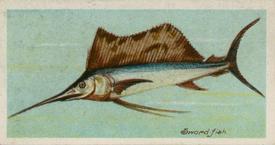 1924 Imperial Tobacco Co of Canada (ITC) Fishes of the World (C12) #NNO Sword-fish Front