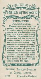 1924 Imperial Tobacco Co. of Canada (ITC) Fishes of the World (C12) #NNO Pipe-fish Back