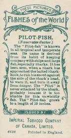 1924 Imperial Tobacco Co of Canada (ITC) Fishes of the World (C12) #NNO Pilot-fish Back
