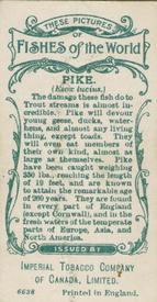 1924 Imperial Tobacco Co of Canada (ITC) Fishes of the World (C12) #NNO Pike Back