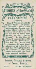 1924 Imperial Tobacco Co of Canada (ITC) Fishes of the World (C12) #NNO Parrot-fish Back