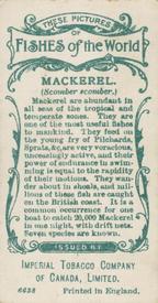 1924 Imperial Tobacco Co of Canada (ITC) Fishes of the World (C12) #NNO Mackerel Back