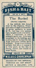 1914 Churchman's Fish & Bait (C11) #2 Barbel Back