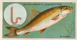 1914 Churchman's Fish & Bait (C11) #2 Barbel Front