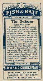 1914 Churchman's Fish & Bait (C11) #5 Gudgeon Back