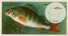 1914 Churchman's Fish & Bait (C11) #9 Perch Front