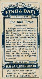 1914 Churchman's Fish & Bait (C11) #15 Bull Trout Back