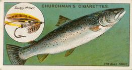 1914 Churchman's Fish & Bait (C11) #15 Bull Trout Front