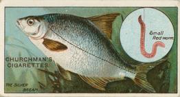 1914 Churchman's Fish & Bait (C11) #16 Silver Bream Front