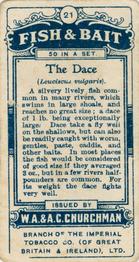 1914 Churchman's Fish & Bait (C11) #21 Dace Back
