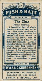 1914 Churchman's Fish & Bait (C11) #24 Char Back
