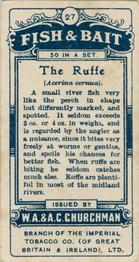 1914 Churchman's Fish & Bait (C11) #27 Ruffe Back