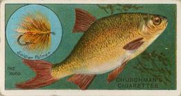 1914 Churchman's Fish & Bait (C11) #30 Rudd Front