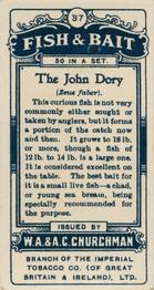 1914 Churchman's Fish & Bait (C11) #37 John Dory Back