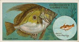 1914 Churchman's Fish & Bait (C11) #37 John Dory Front